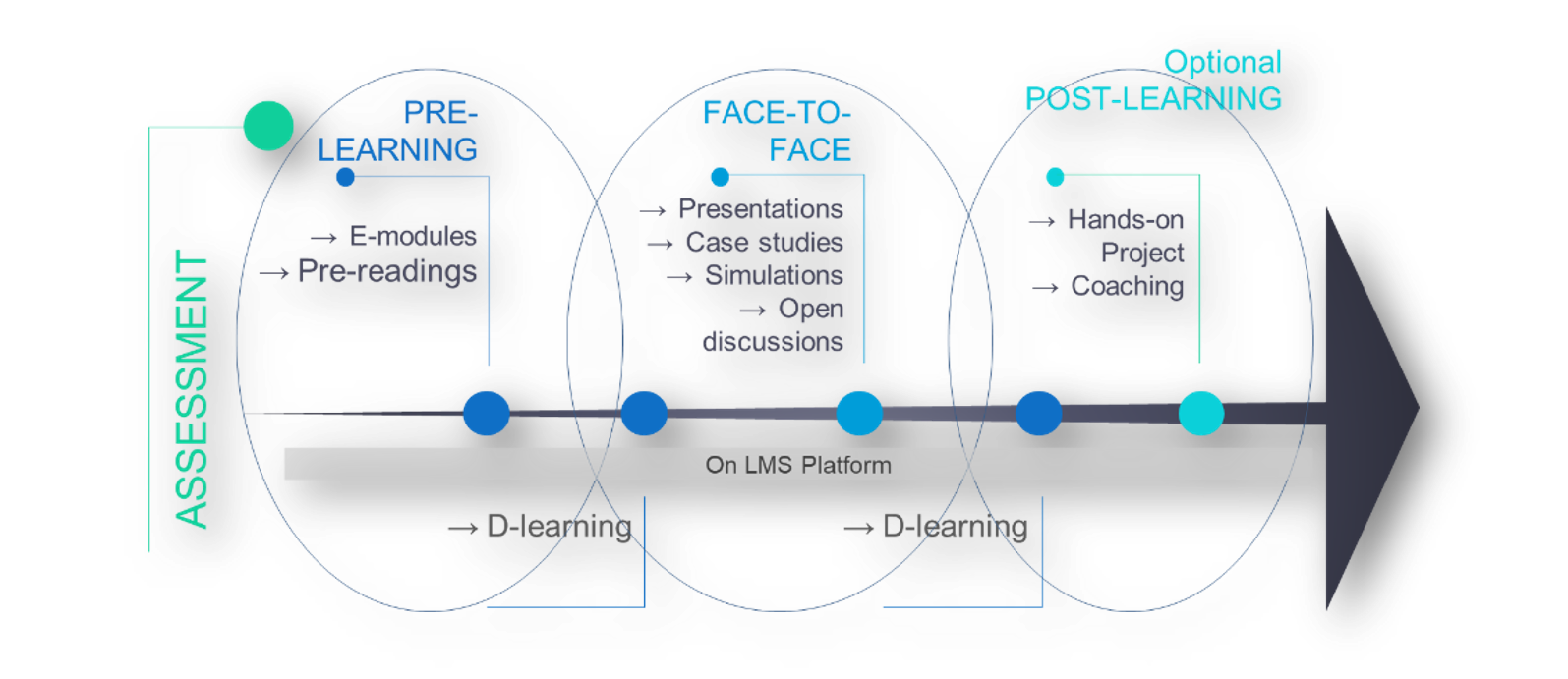 The EIPM Blended Learning Process