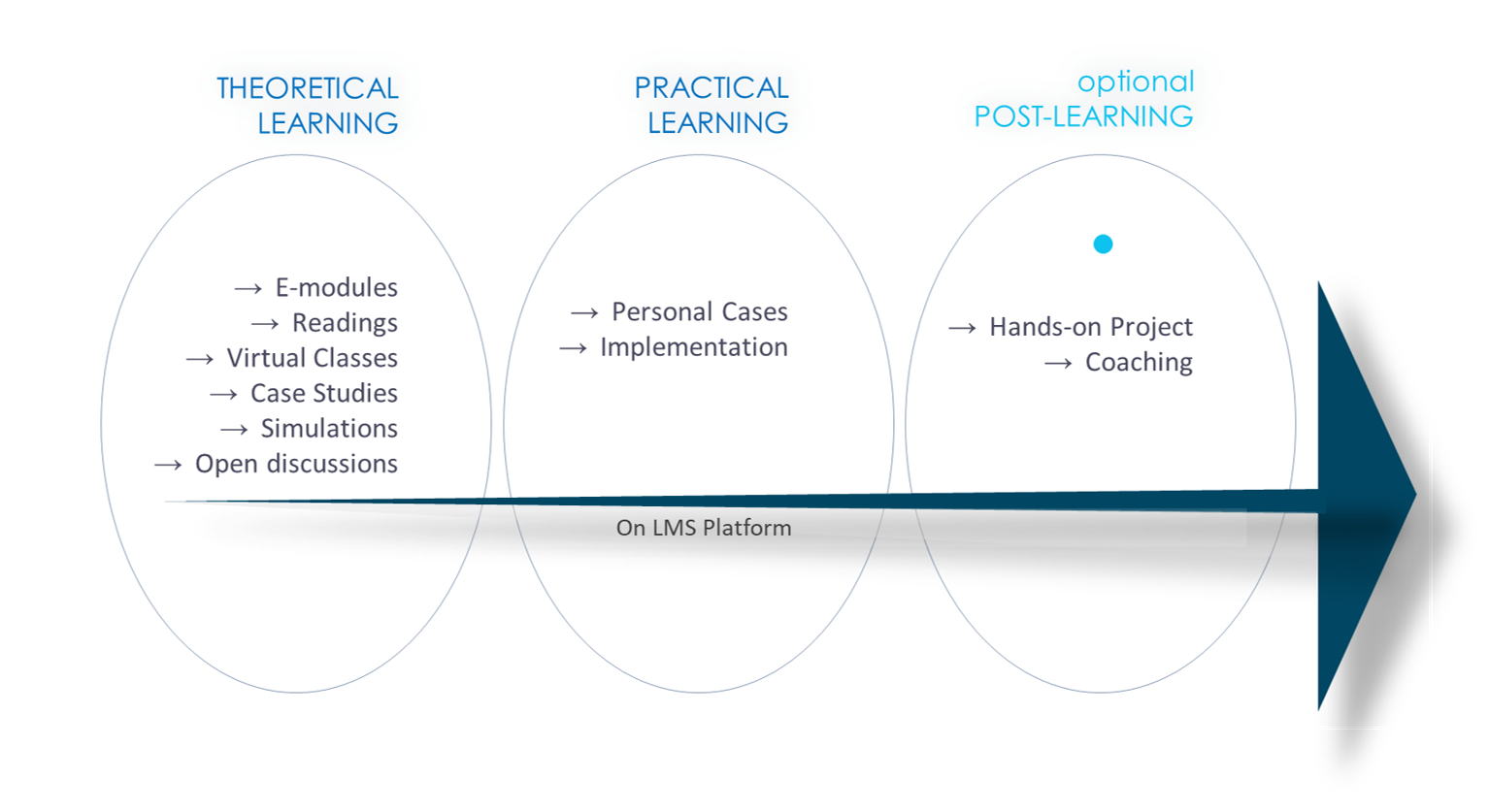 The FLeX Learning Process